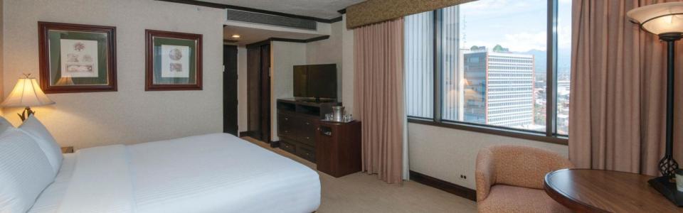 Hotel Aurola Holiday Inn image