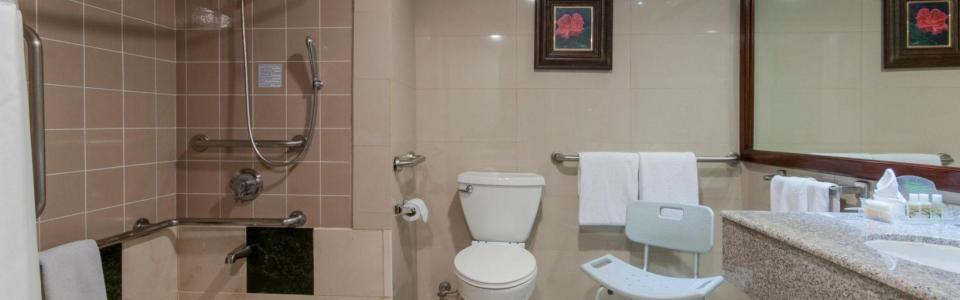 Hotel Aurola Holiday Inn image