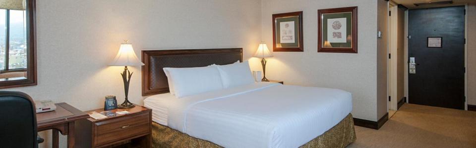 Hotel Aurola Holiday Inn image