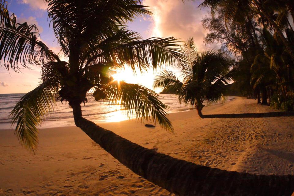 Hotel High Season Resort image