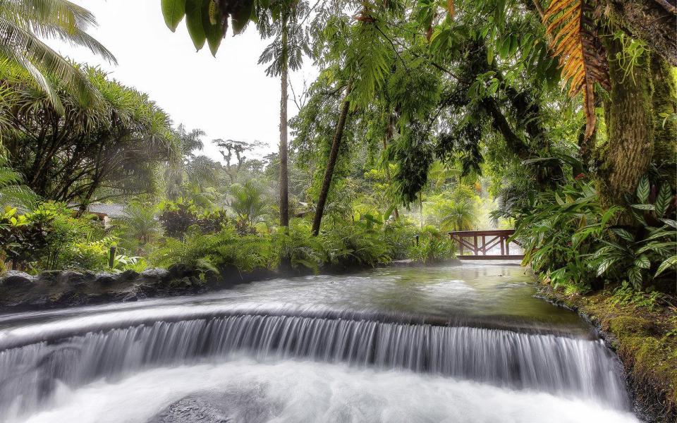 Hotel Tabacon Thermal Resort & Spa image