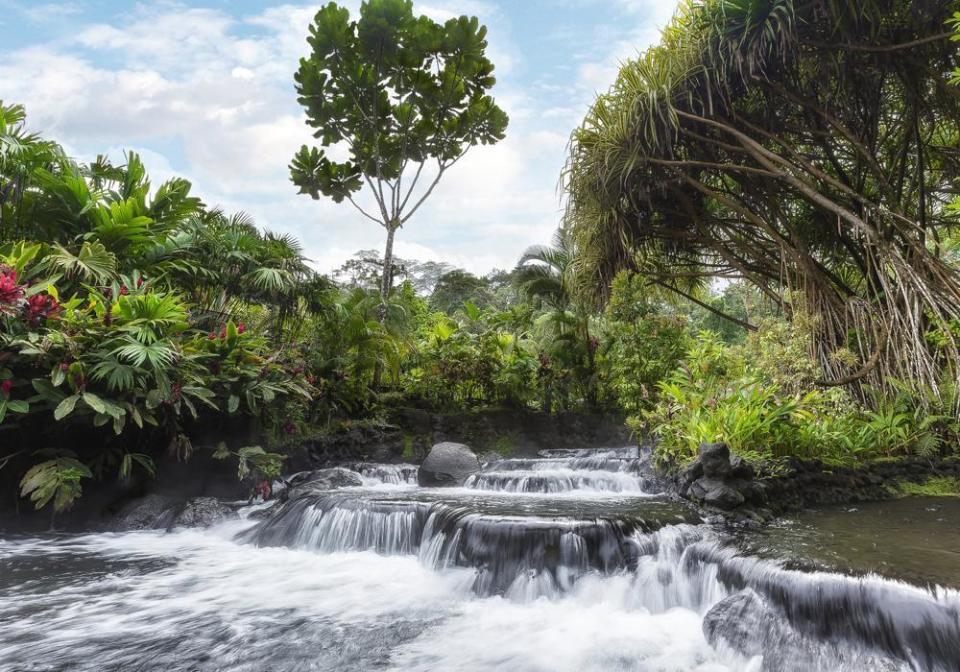 Hotel Tabacon Thermal Resort & Spa image