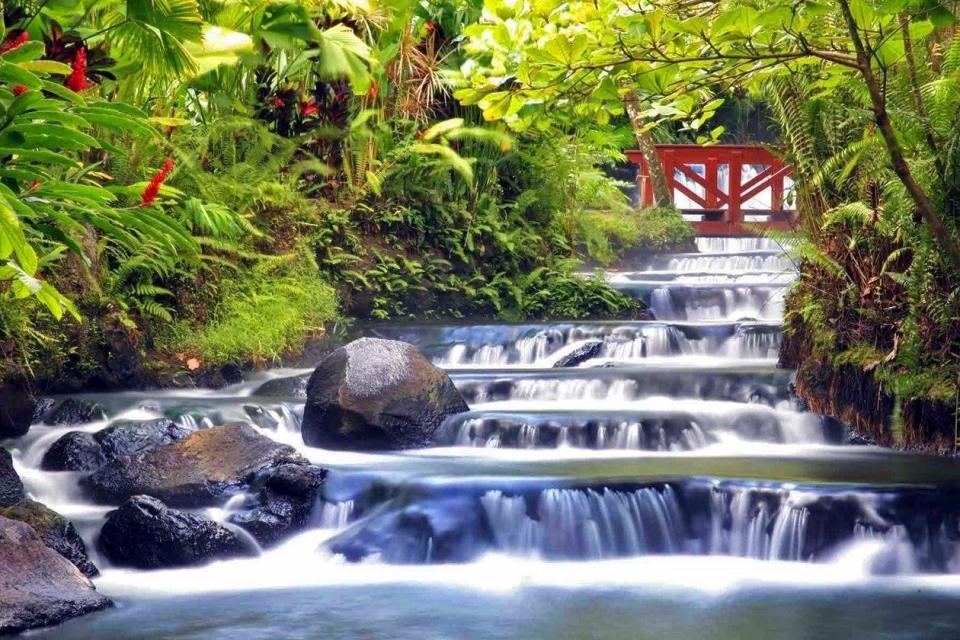 Hotel Tabacon Thermal Resort & Spa image